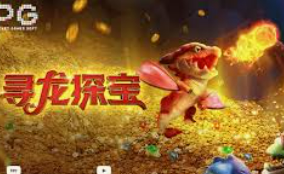 赏金国际vip登录入口最新版