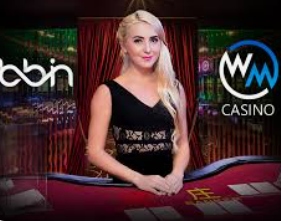 赏金国际vip登录入口免费版